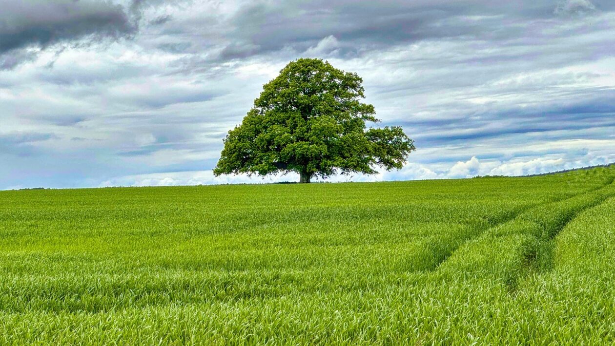 Psychologická zmena správania: Tvorba emočných kampaní s merateľným dopadom