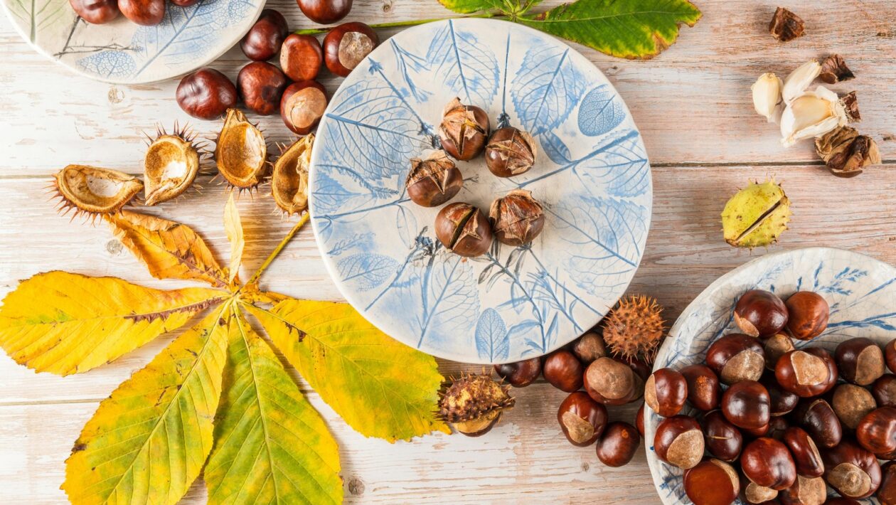 Marketing 5.0 podľa Kotlera: Koncept prepojenia technológie a ľudskosti