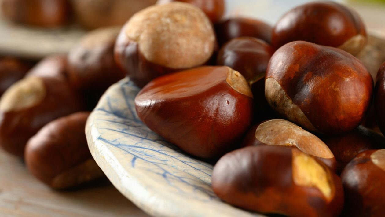 Digitálna empatia: Integrácia technológií a ľudskej empatie v zákazníckej skúsenosti